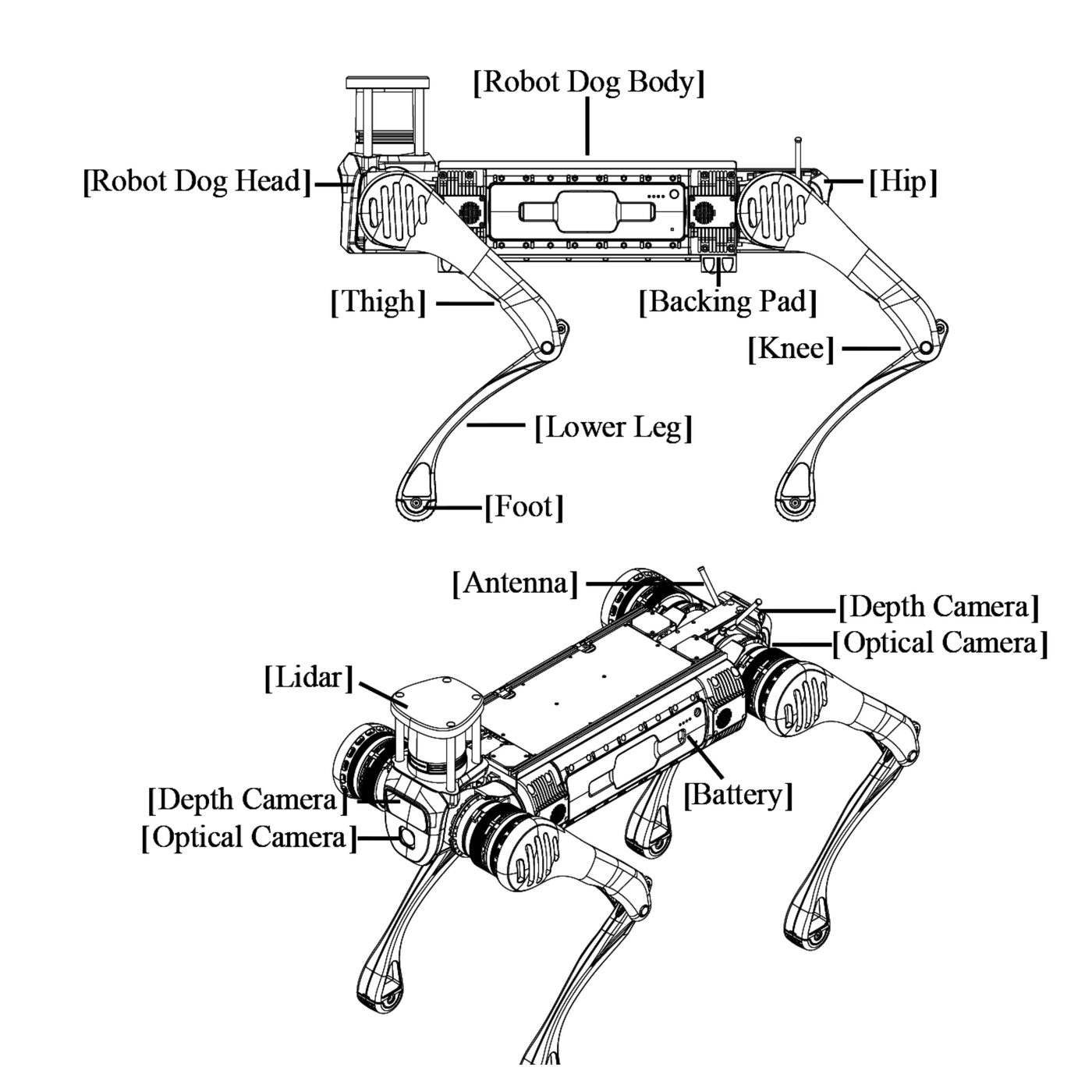 Unitree B2 labeled anatomy diagram: head, hip, thigh, knee, lower leg, foot, plus sensor placement (LiDAR, depth camera, optical camera, battery)