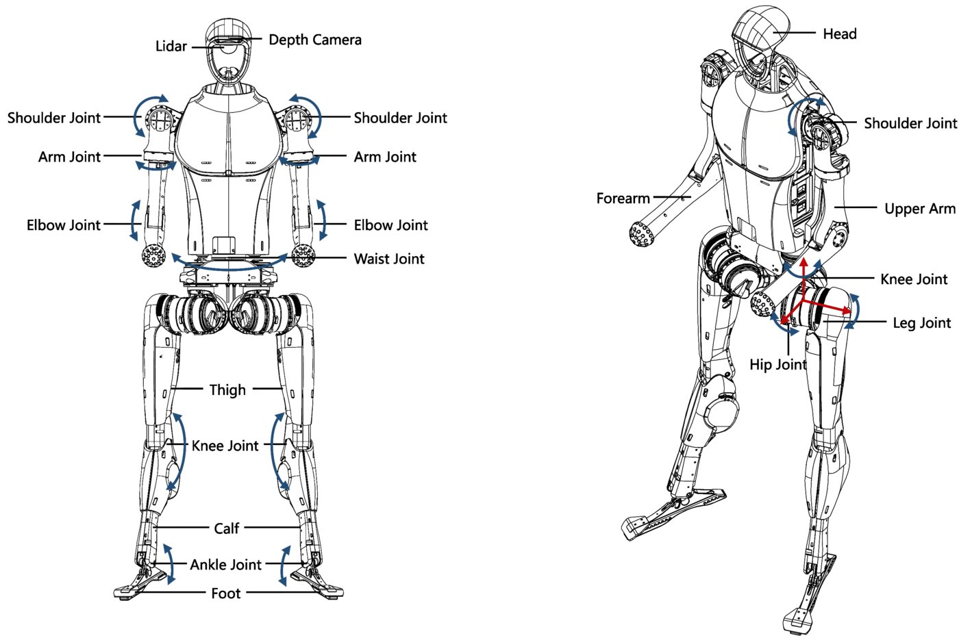 Unitree H1 component overview diagram labelling shoulder, arm, elbow, waist, hip, leg, knee and ankle joints
