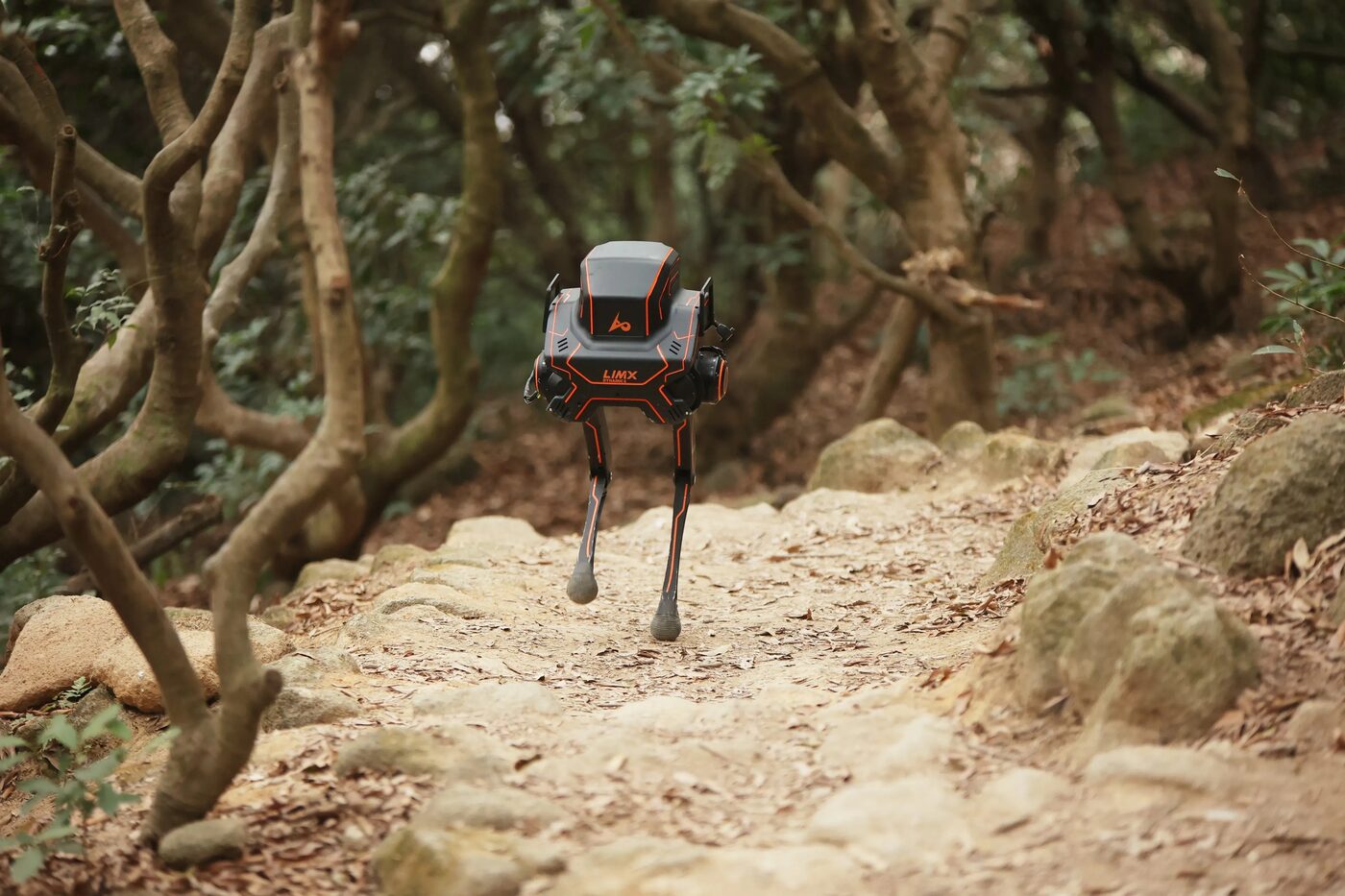 LimX P1 bipedal robot, standing